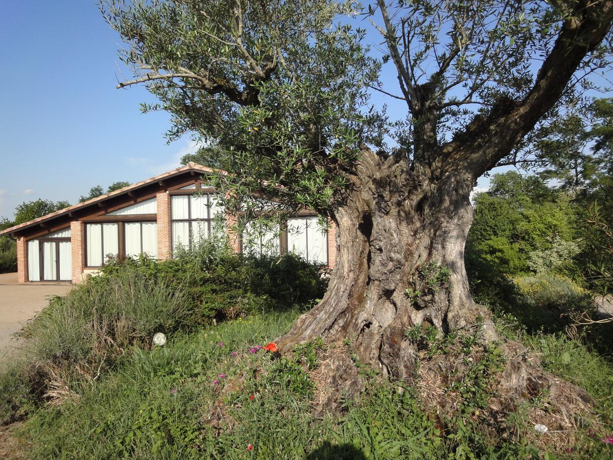 Chalet Domaine De Combe Ramond Hotell Veilhes Eksteriør bilde
